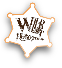 wild wild west_logo